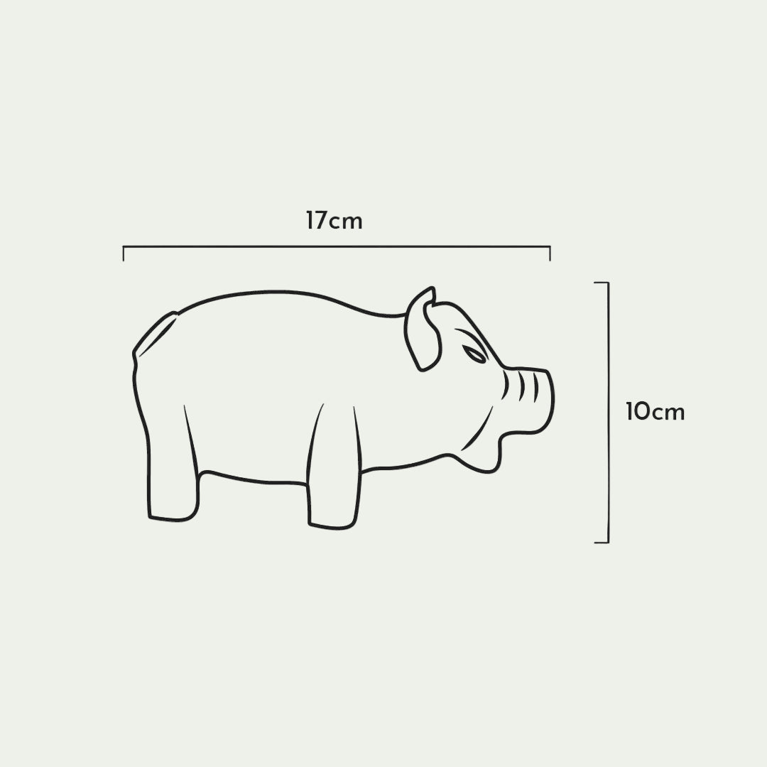 🐾Retorn - Rub Spaarvarken