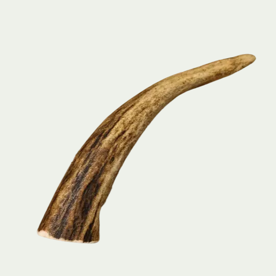 🐾Happy Tails - Hertengewei M